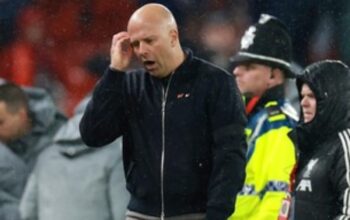 scraped 1777048379 1