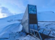 scraped 1777178023 1