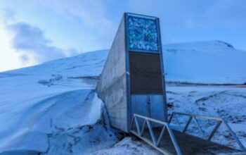 scraped 1777178023 1