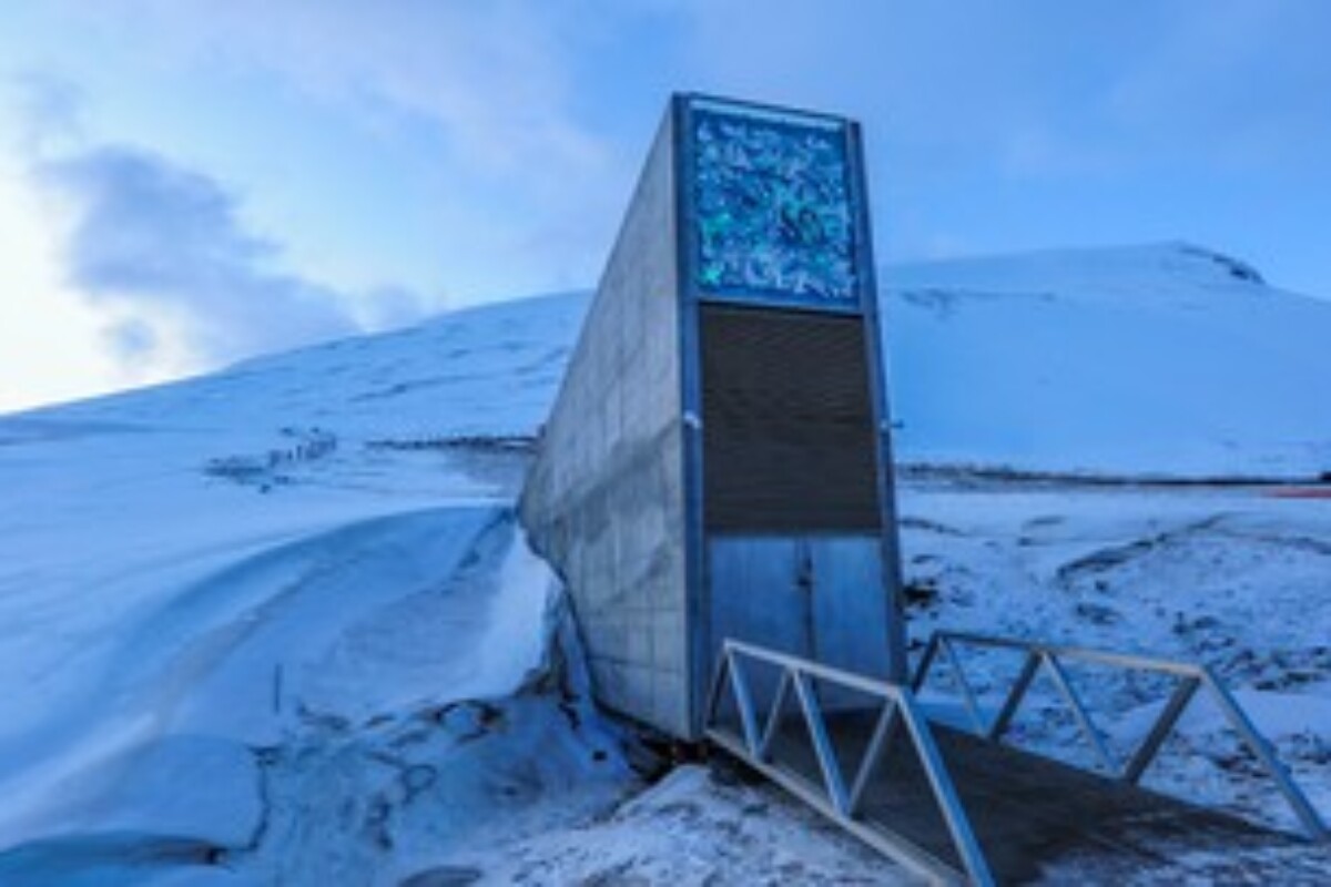 scraped 1777178023 1