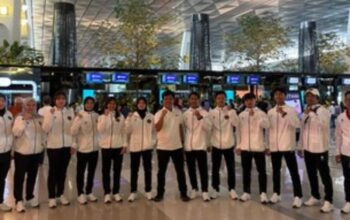 scraped 1777185142 1