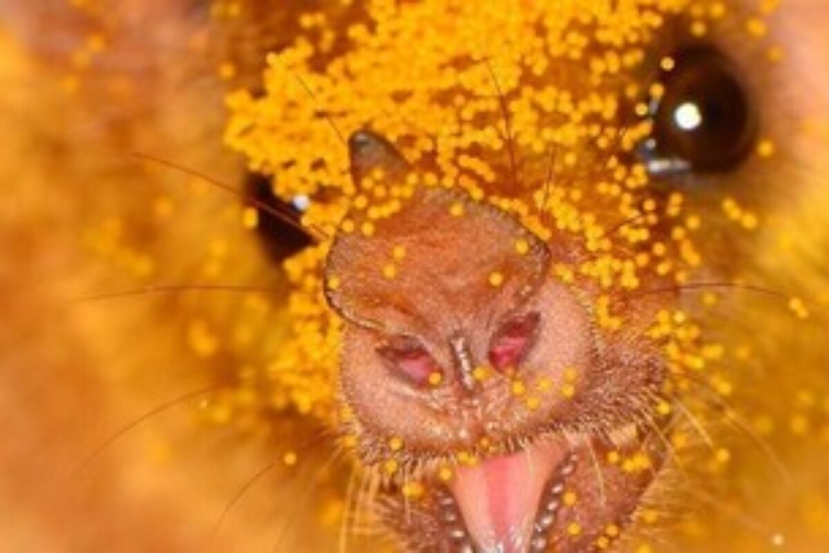 scraped 1777473177 1