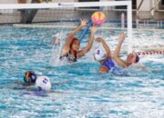 scraped 1777480439 1