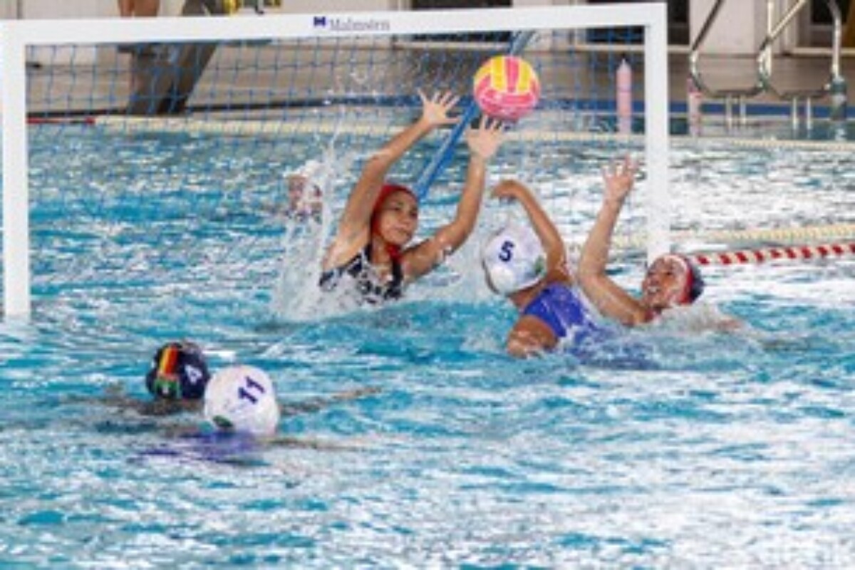 scraped 1777480439 1