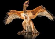 scraped 1777516378 1