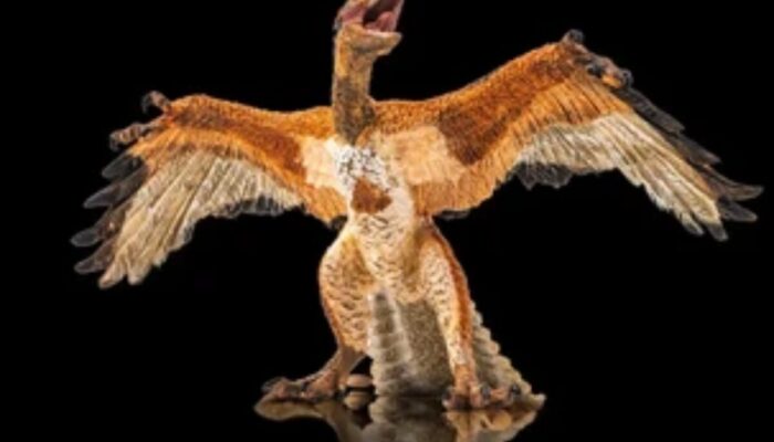 Terungkap! Burung di Langitmu Ternyata Dinosaurus yang Belum Punah?