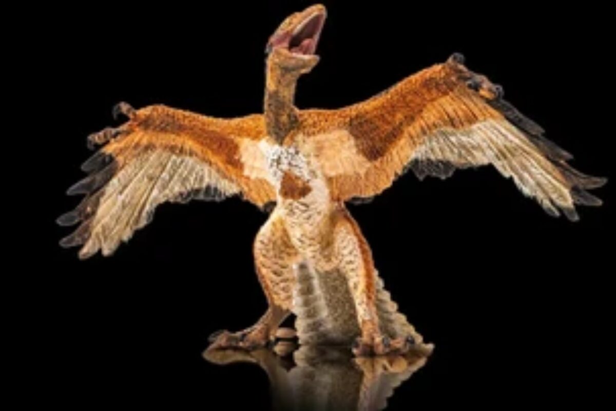 scraped 1777516378 1