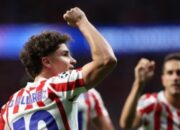 scraped 1777516426 1