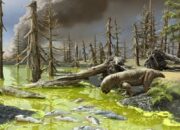 Evolusi Lubang Anus Diduga Picu Kepunahan Massal Pertama di Bumi 9 Evolusi Lubang Anus Diduga Picu Kepunahan Massal Pertama di Bumi