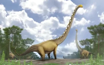 Dinosaurus Raksasa Baru Berleher Ekstrem Ditemukan di Thailand 5 Dinosaurus Raksasa Baru Berleher Ekstrem Ditemukan di Thailand