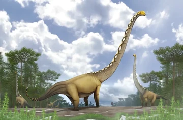 Dinosaurus Raksasa Baru Berleher Ekstrem Ditemukan di Thailand
