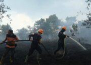 BPBD Kaltim Catat 413 Titik Karhutla, 936 Hektare Lahan Hangus