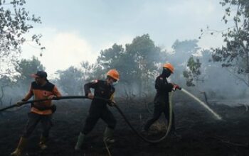 BPBD Kaltim Catat 413 Titik Karhutla, 936 Hektare Lahan Hangus