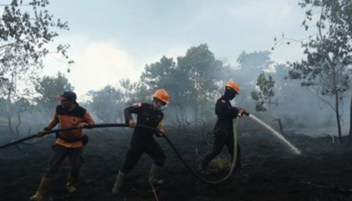 BPBD Kaltim Catat 413 Titik Karhutla, 936 Hektare Lahan Hangus