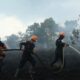 BPBD Kaltim Catat 413 Titik Karhutla, 936 Hektare Lahan Hangus