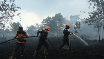 BPBD Kaltim Catat 413 Titik Karhutla, 936 Hektare Lahan Hangus